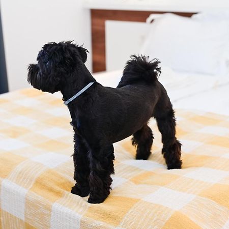 Rubo Hotel Szumen Zewnętrze zdjęcie