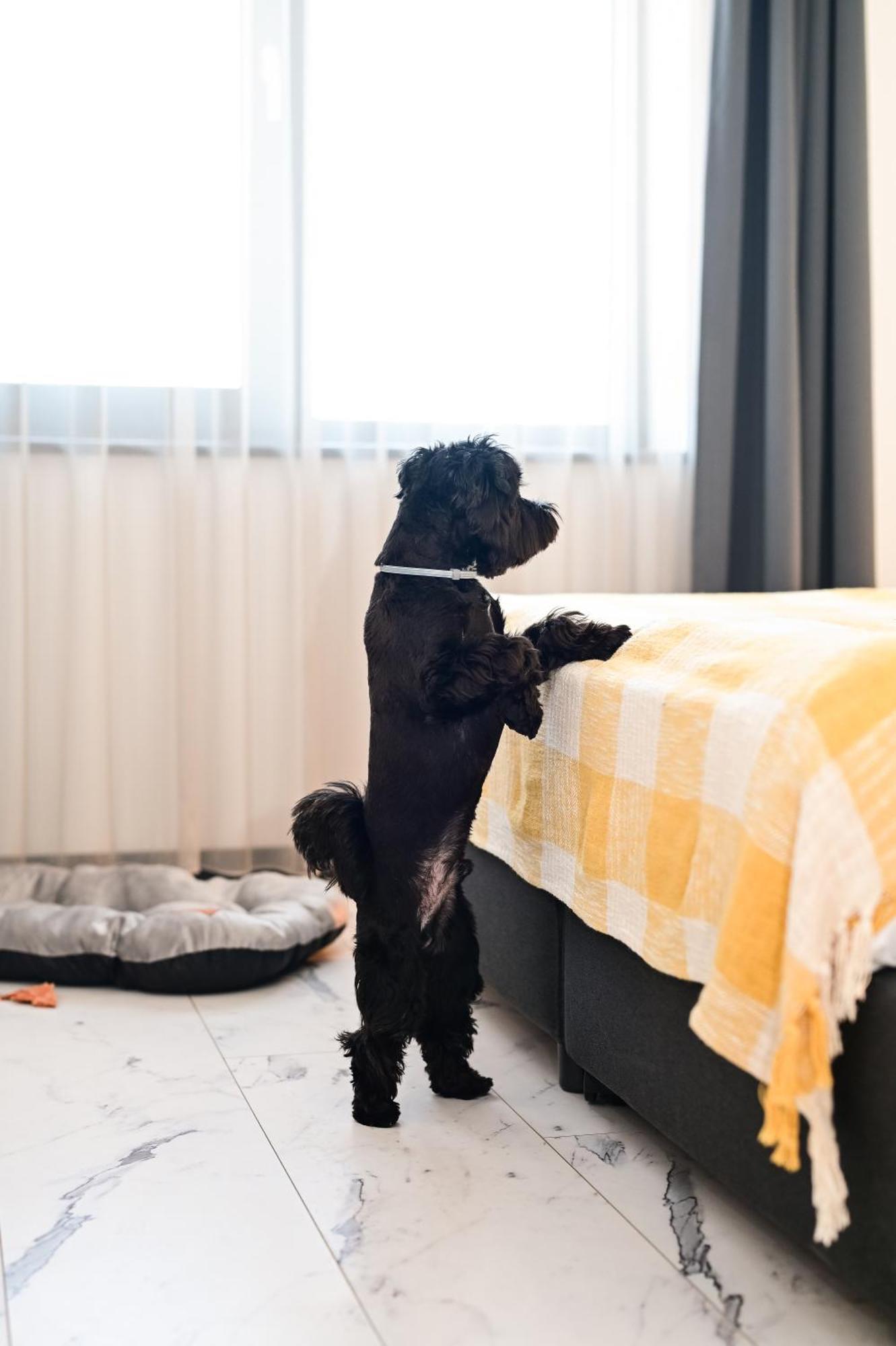 Rubo Hotel Szumen Zewnętrze zdjęcie